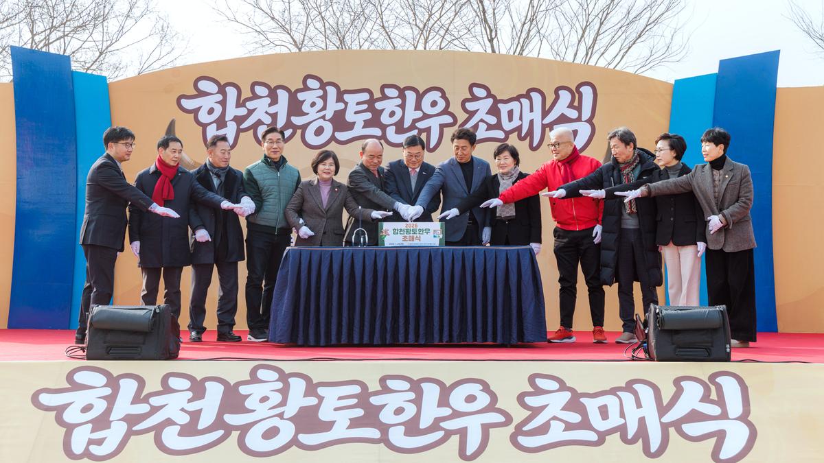 합천향토한우 초매식