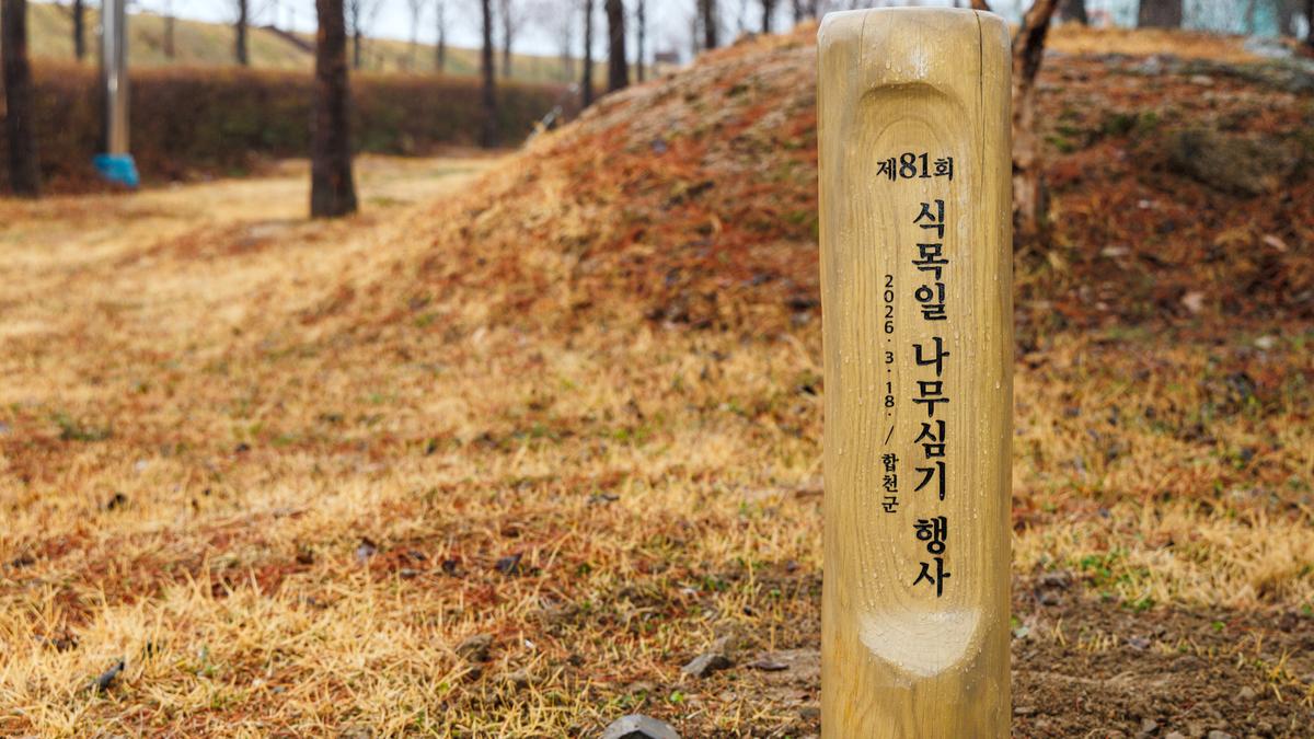 제81회 식목일 나무심기 행사