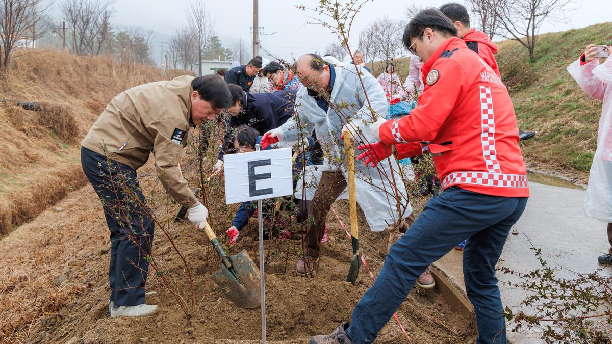 제81회 식목일 나무심기 행사