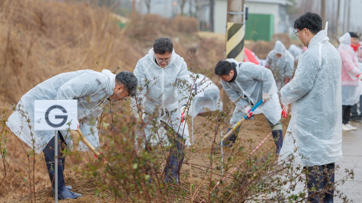 제81회 식목일 나무심기 행사