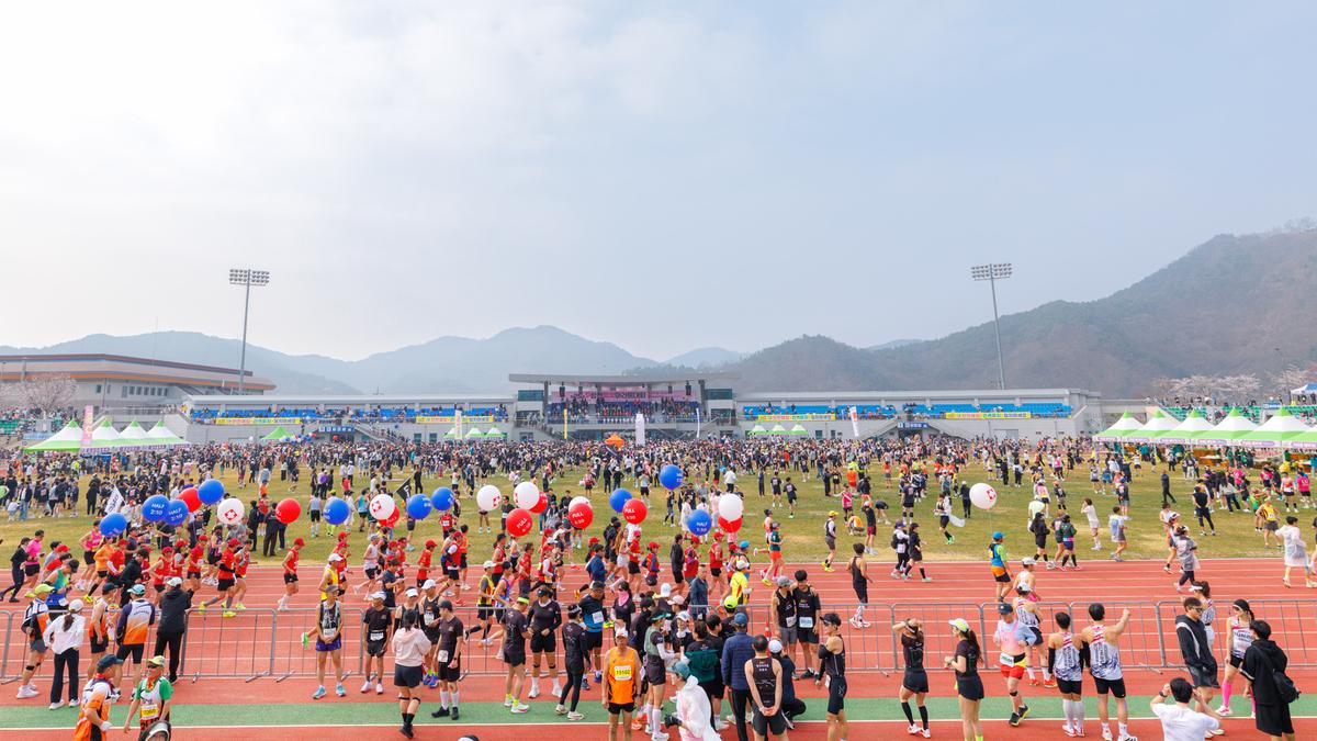 제25회 합천 벚꽃마라톤대회