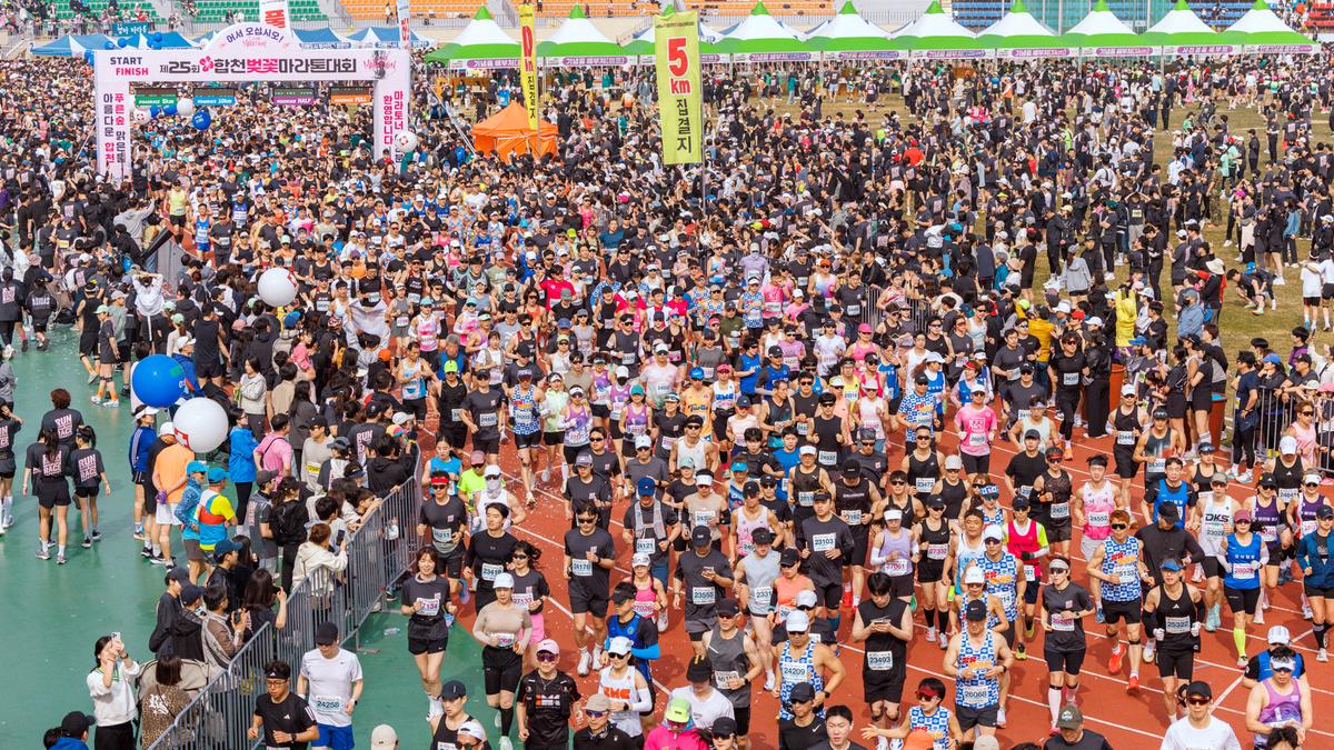제25회 합천 벚꽃마라톤대회