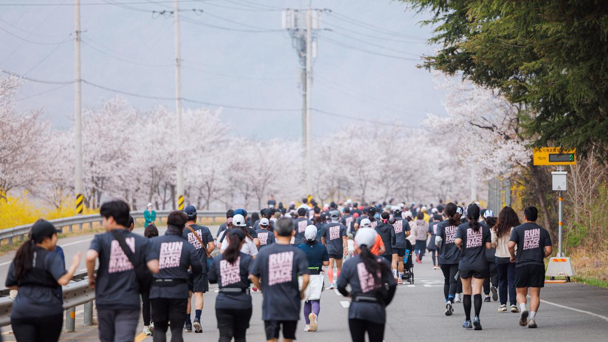 제25회 합천 벚꽃마라톤대회