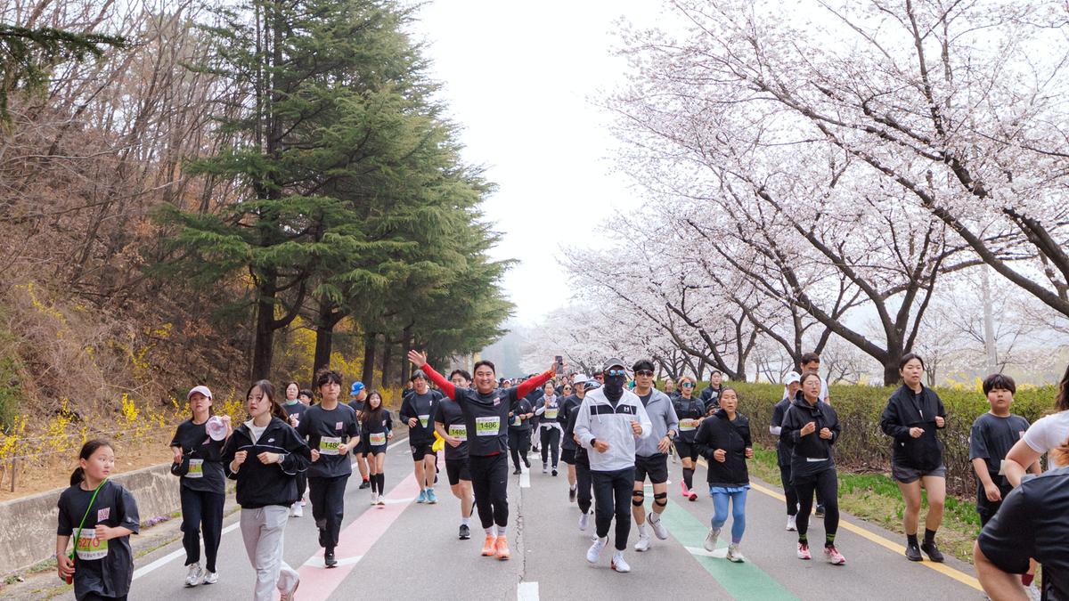 제25회 합천 벚꽃마라톤대회