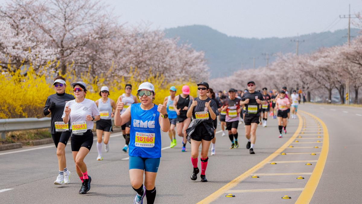 제25회 합천 벚꽃마라톤대회