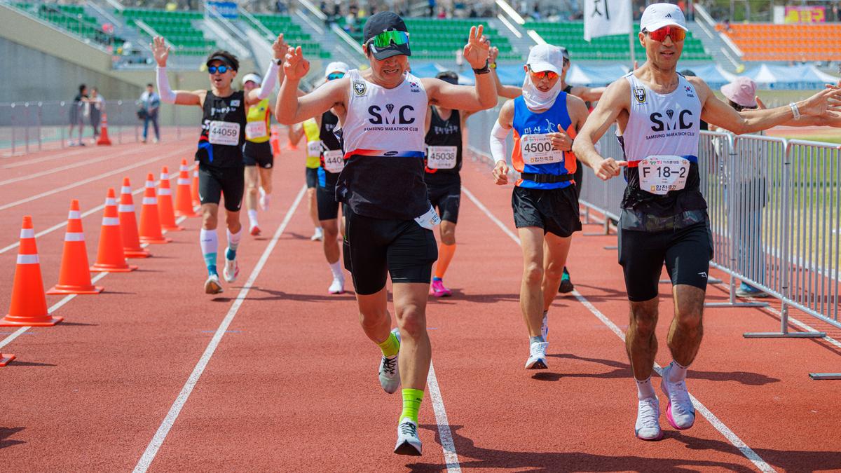 제25회 합천 벚꽃마라톤대회