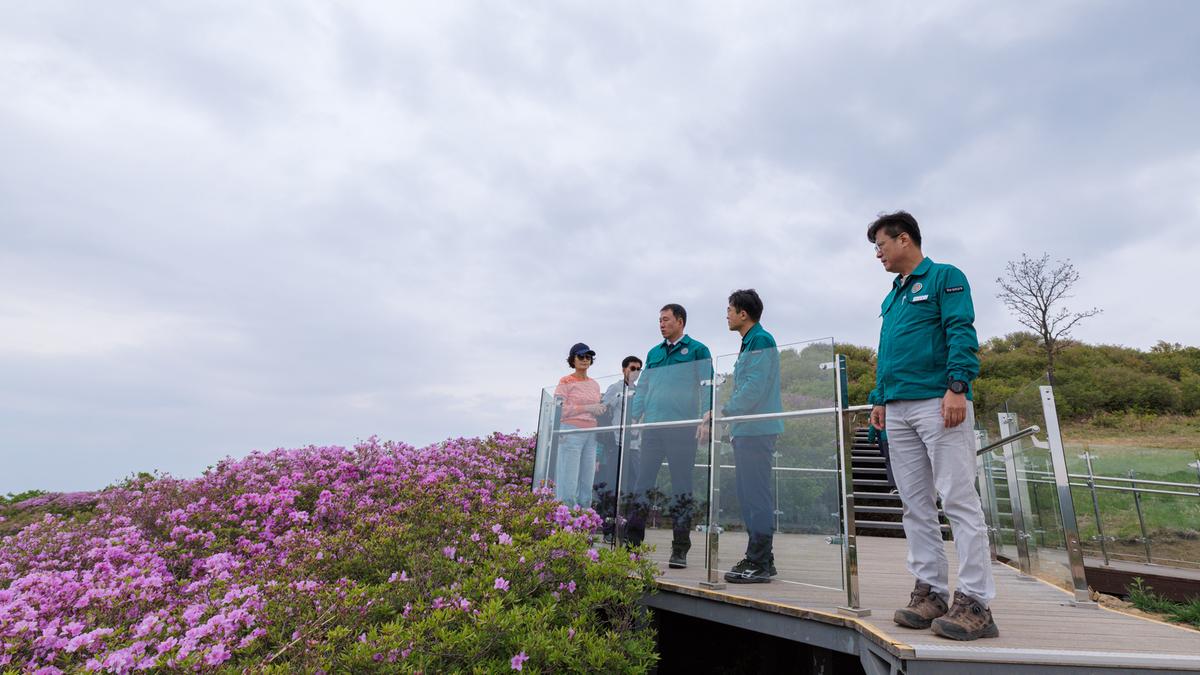 제30회 황매산철쭉제 경남도 합동 안전점검