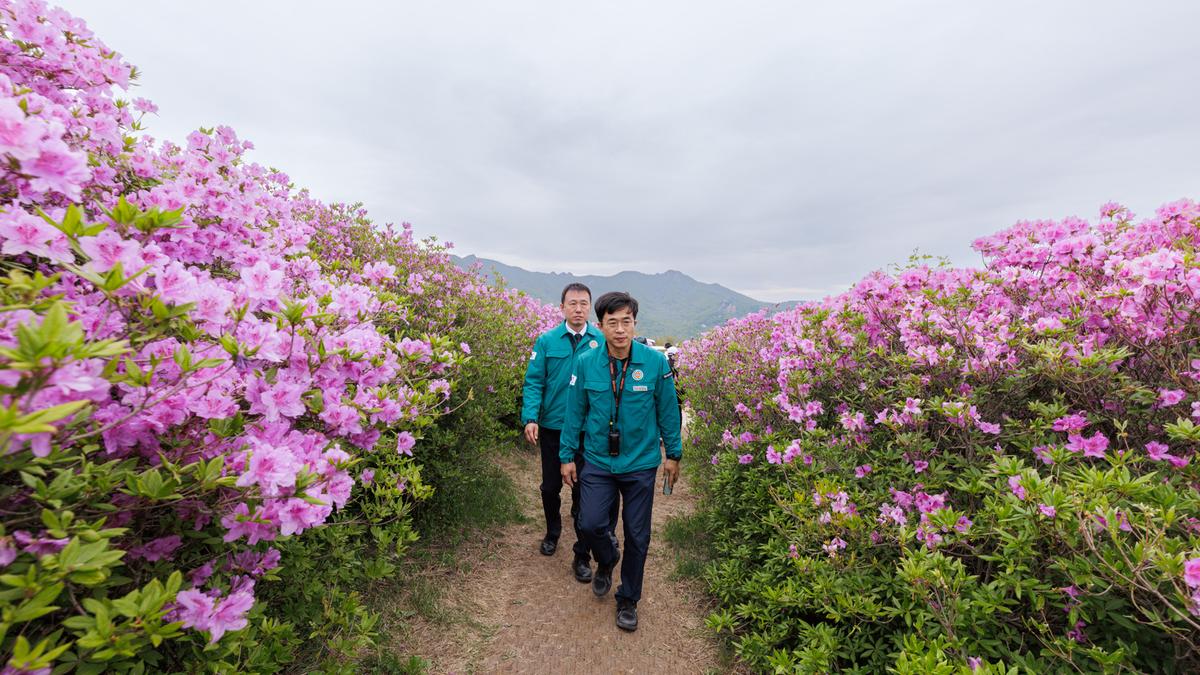 제30회 황매산철쭉제 경남도 합동 안전점검