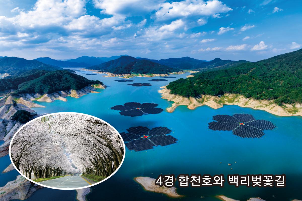 합천호와 백리벚꽃길
