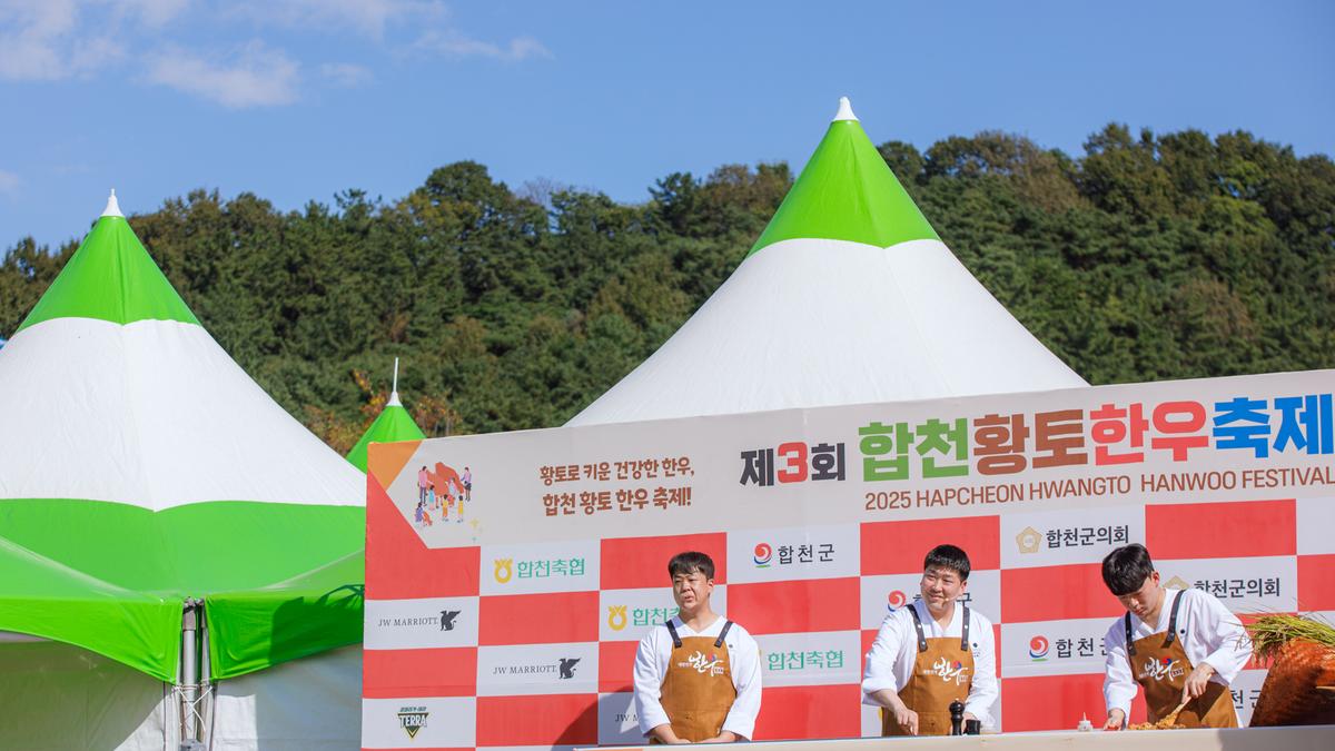 2025 한우축제 이경진 셰프