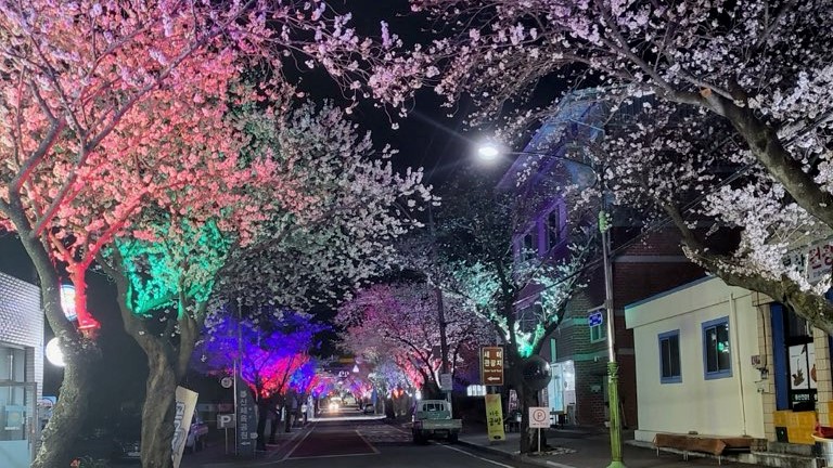 봉산 벚꽃음악회