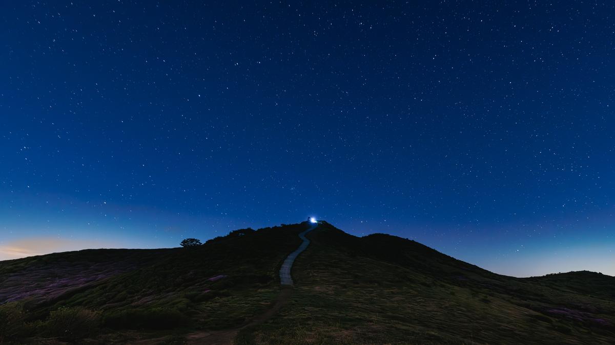 황매산 철쭉 스케치