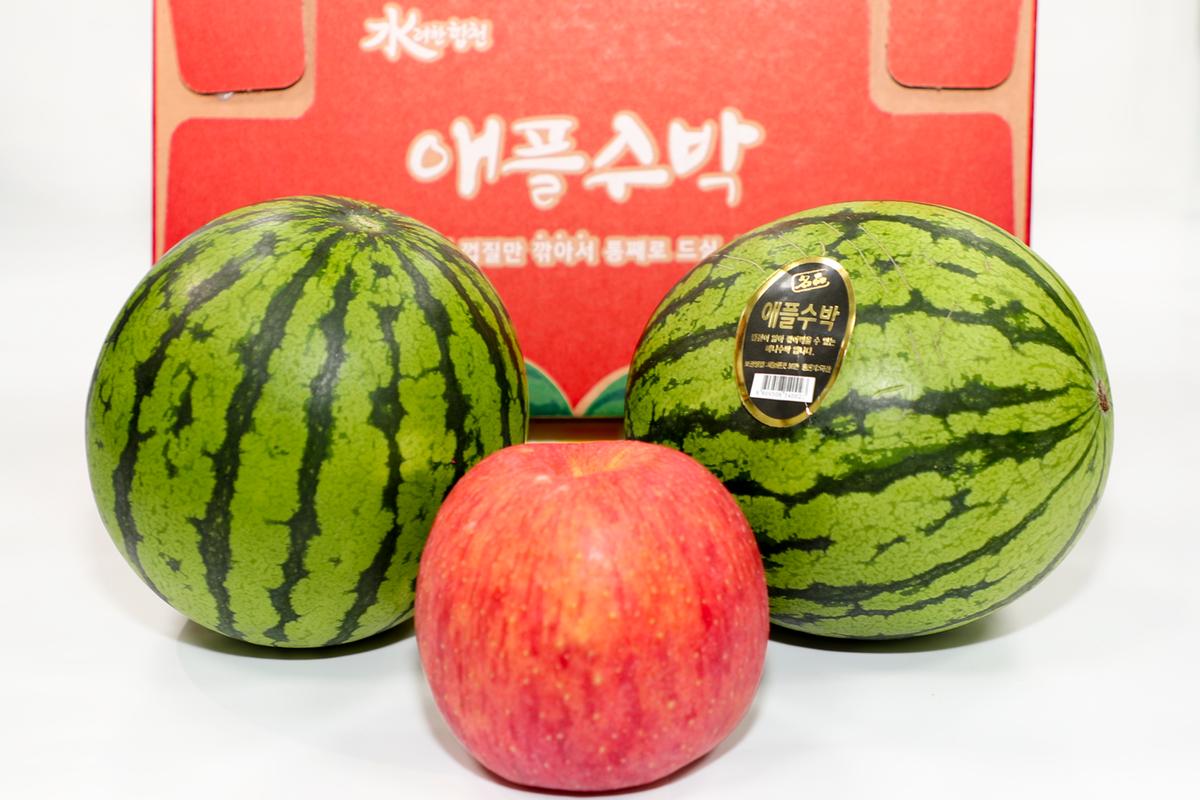 애플수박