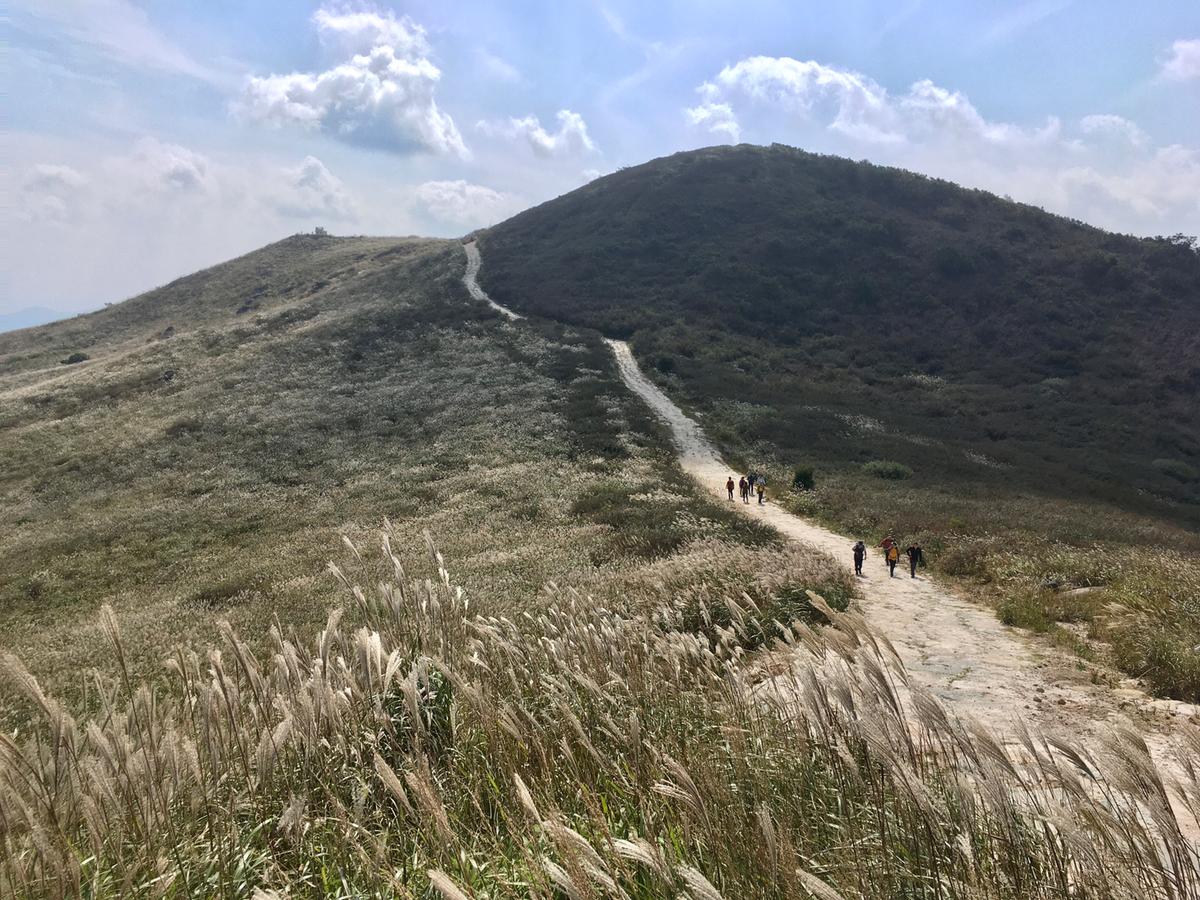 황매산 억새 모음2