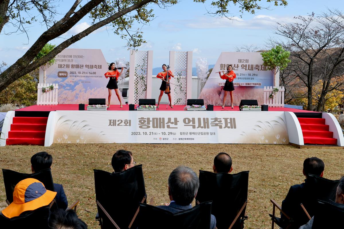 황매산 억새 모음2