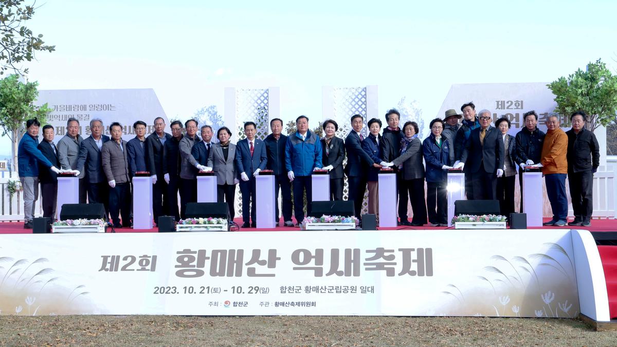 황매산 억새 모음2