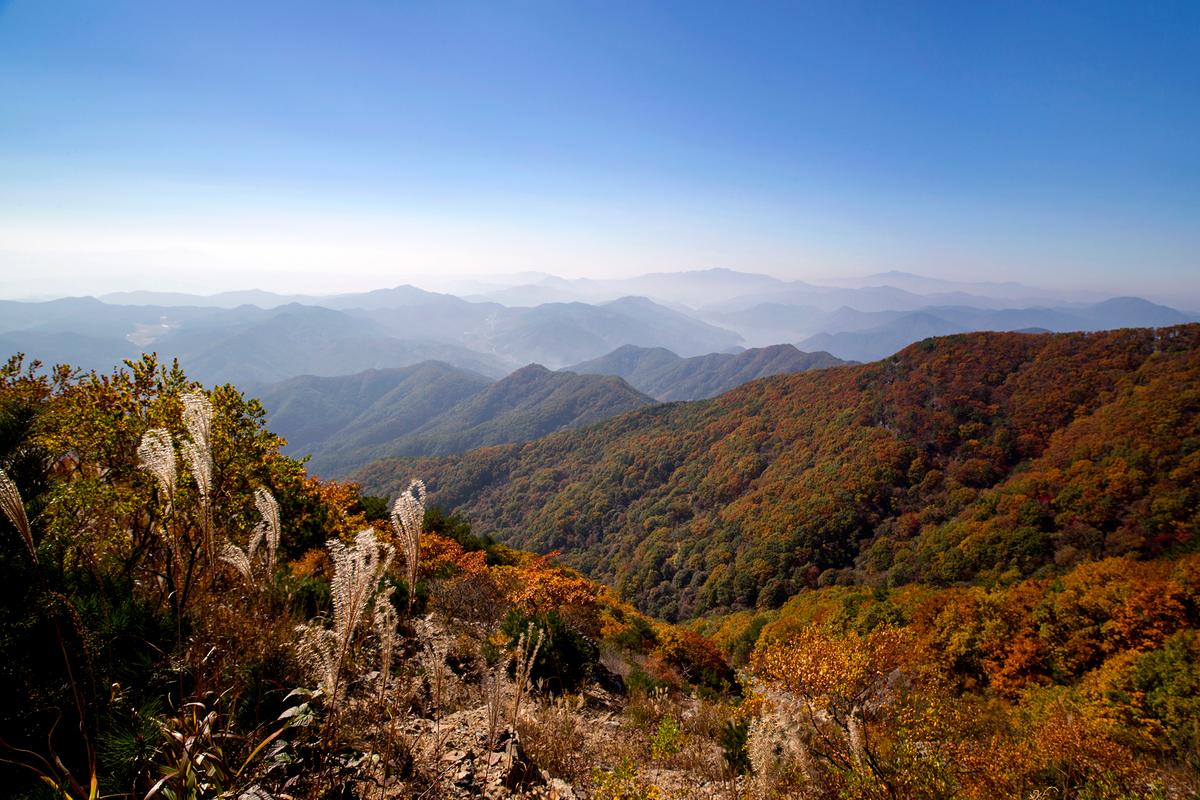 황매산 억새 모음2