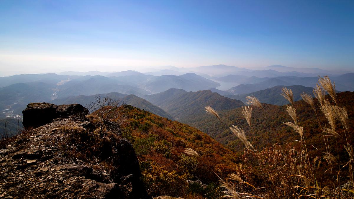 황매산 억새 모음2