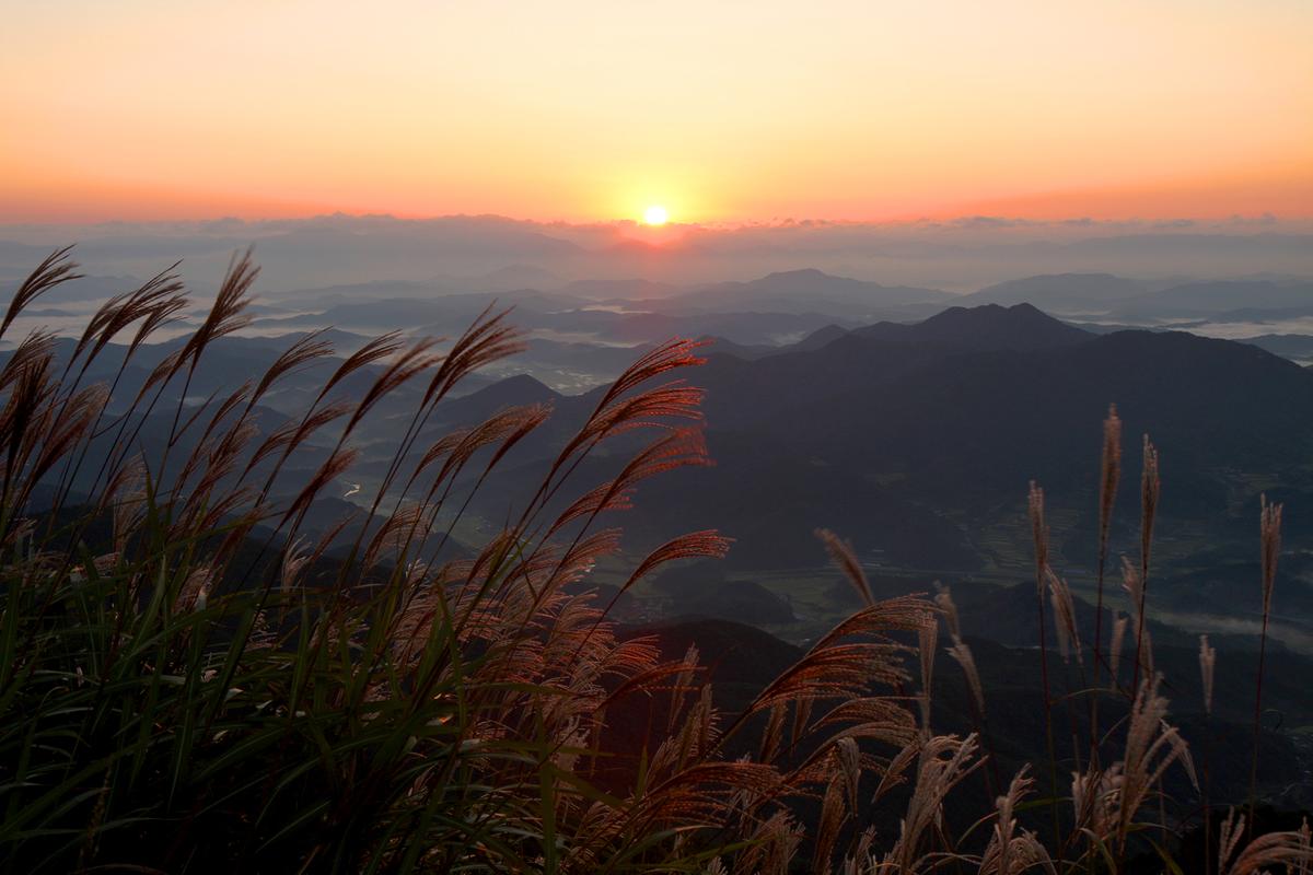황매산 억새 모음2