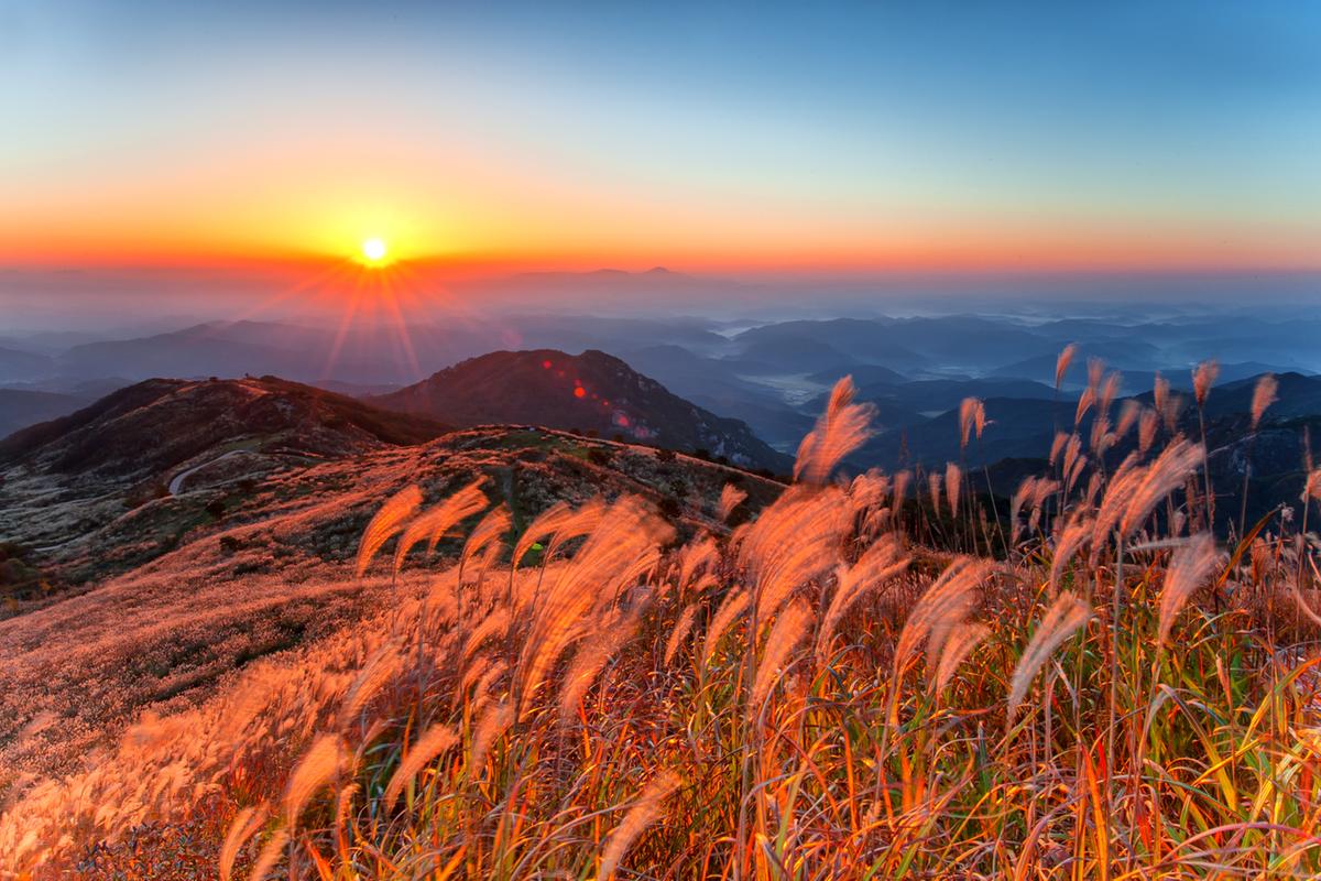 황매산 억새 모음2