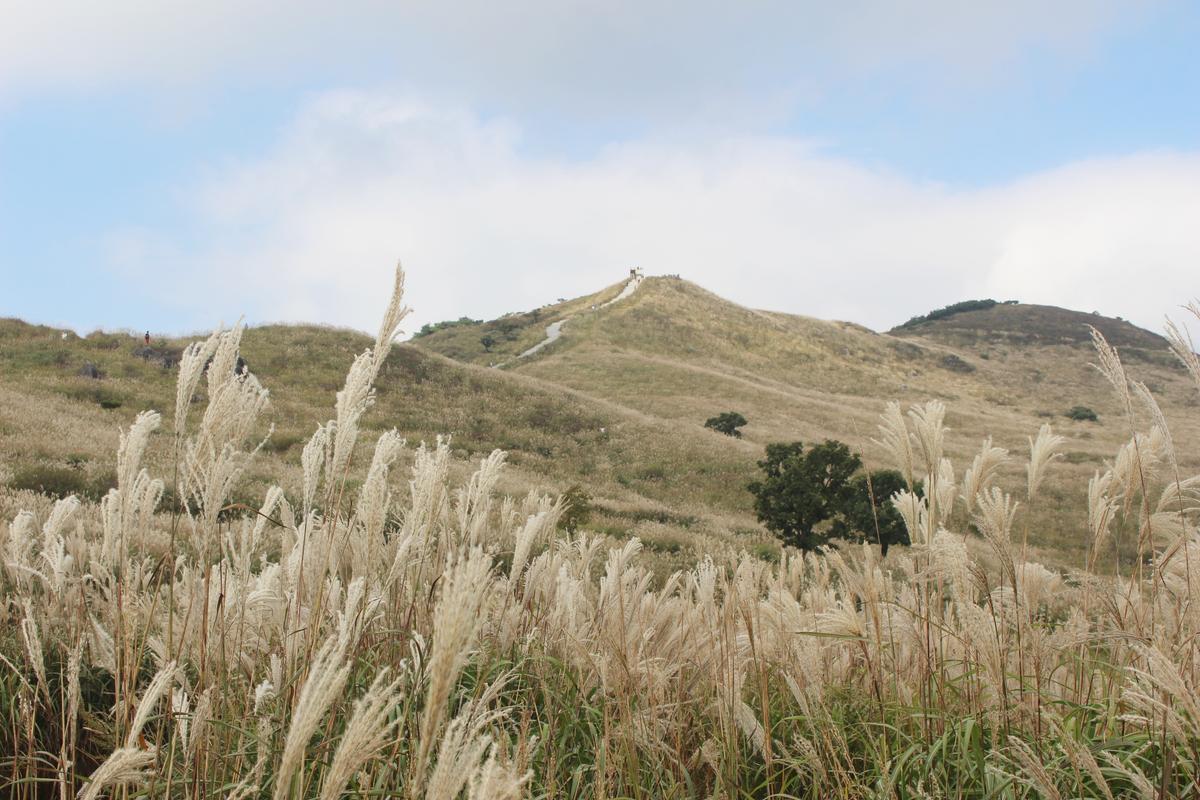 황매산 억새 모음3