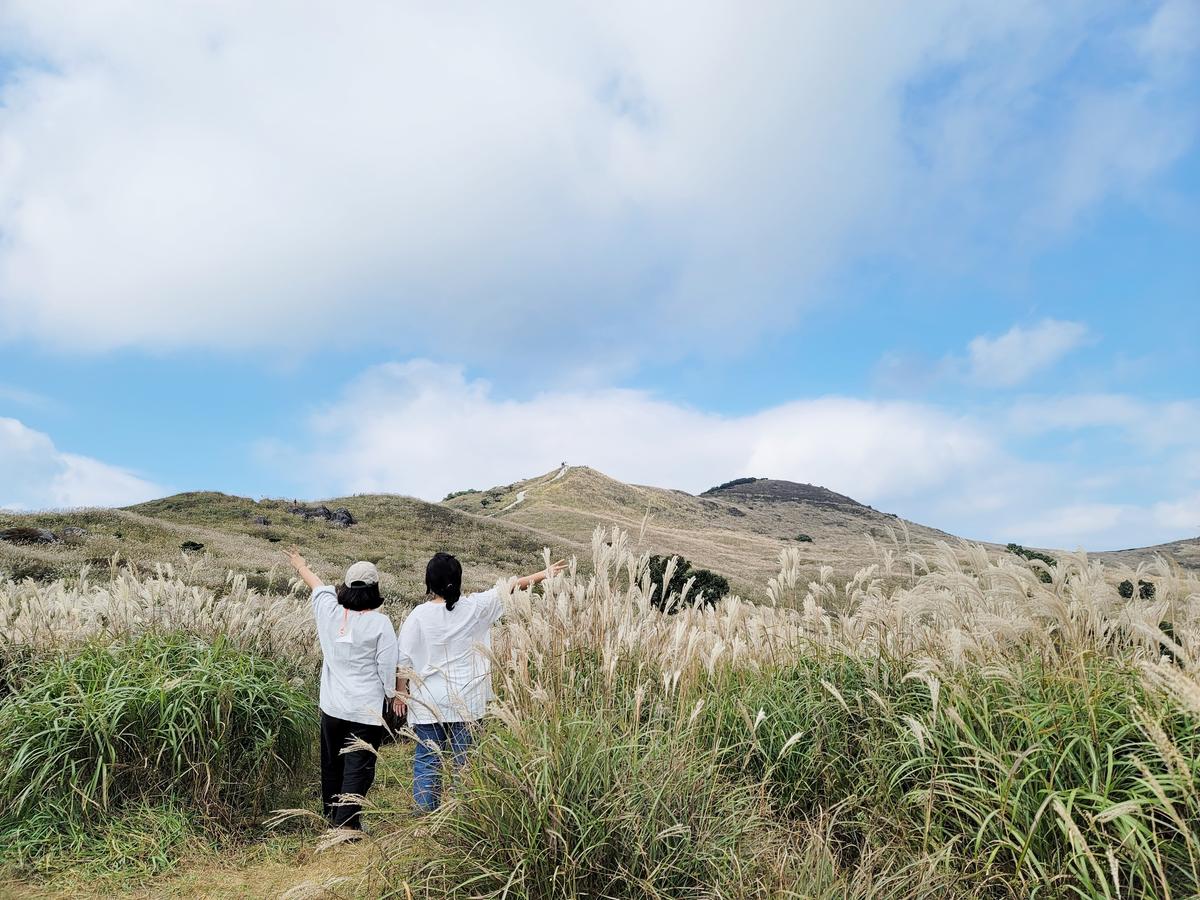 황매산 억새 모음3