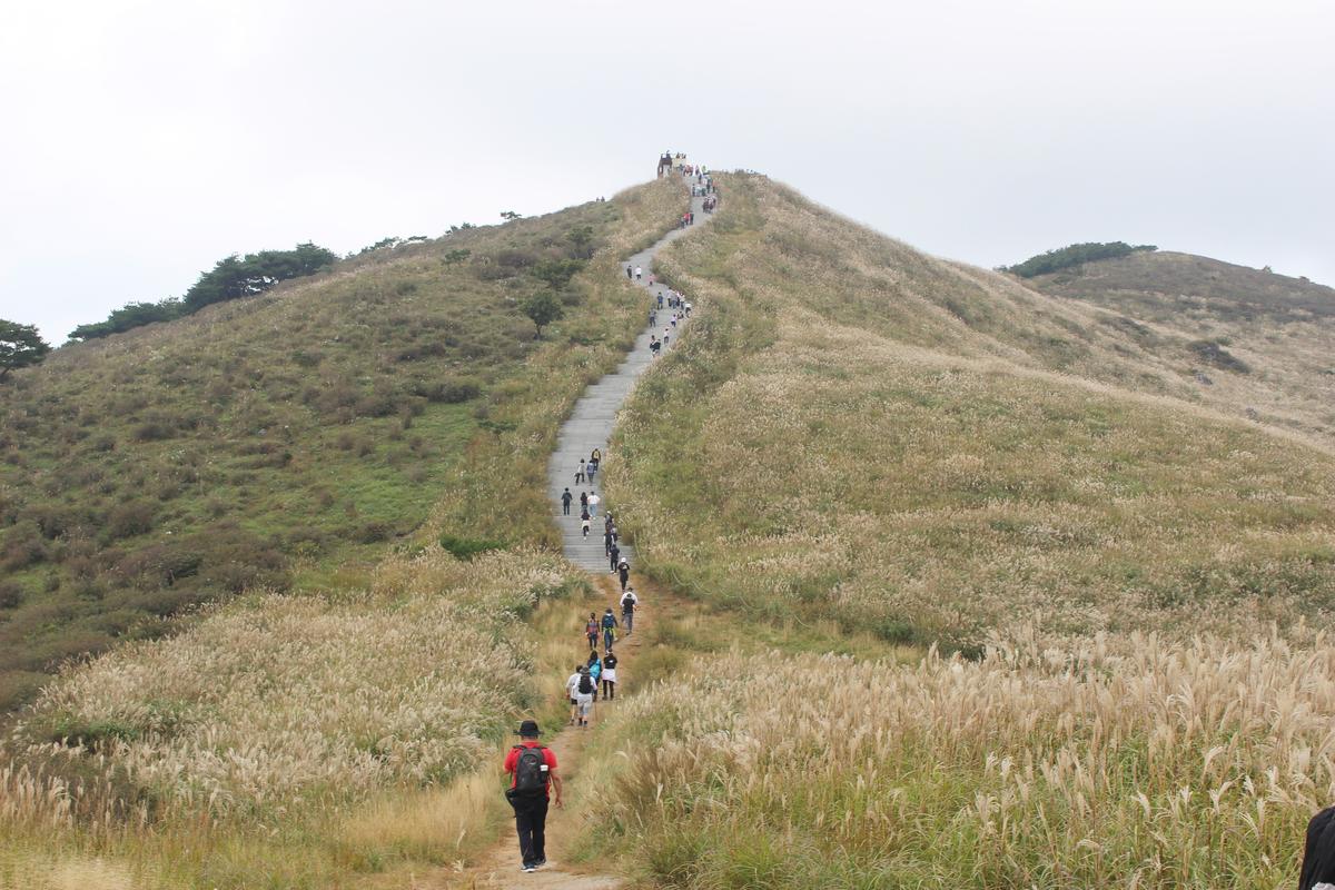황매산 억새 모음3