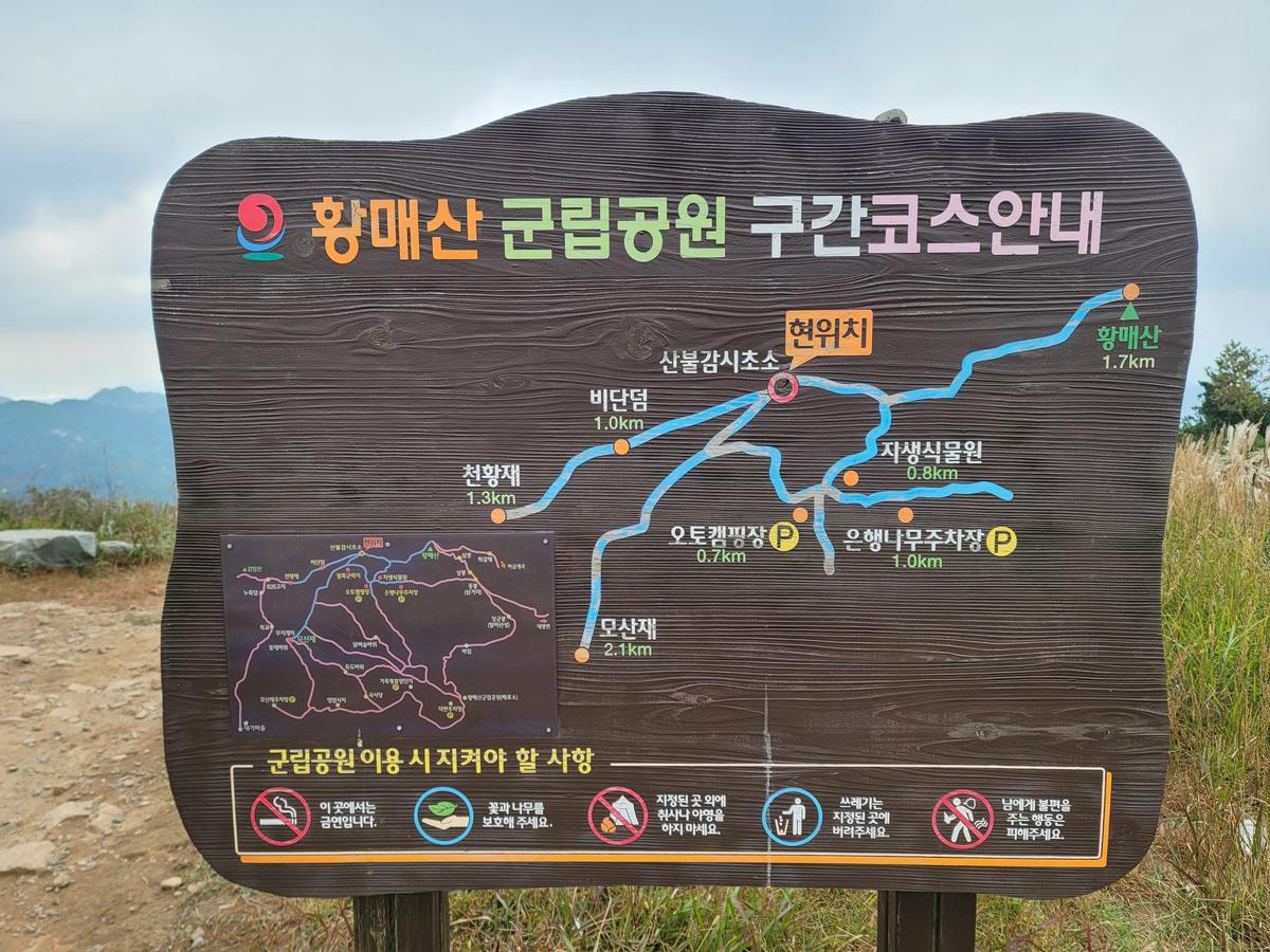 황매산 억새 모음3