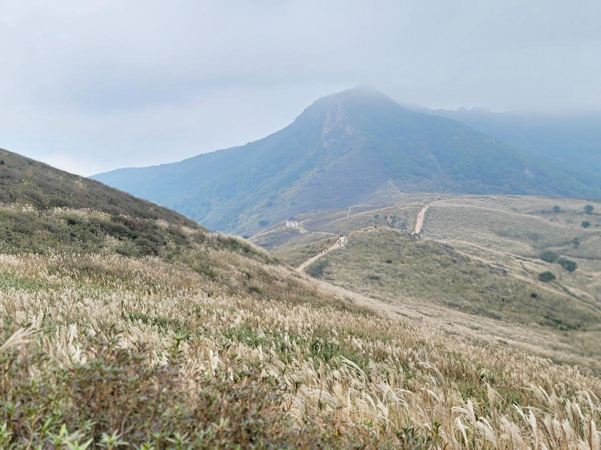 황매산 억새 모음3