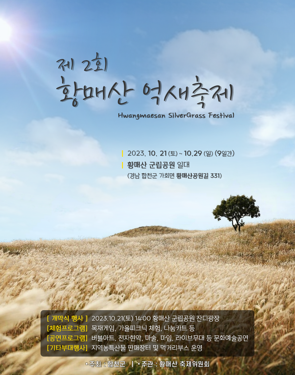 황매산 억새 모음3