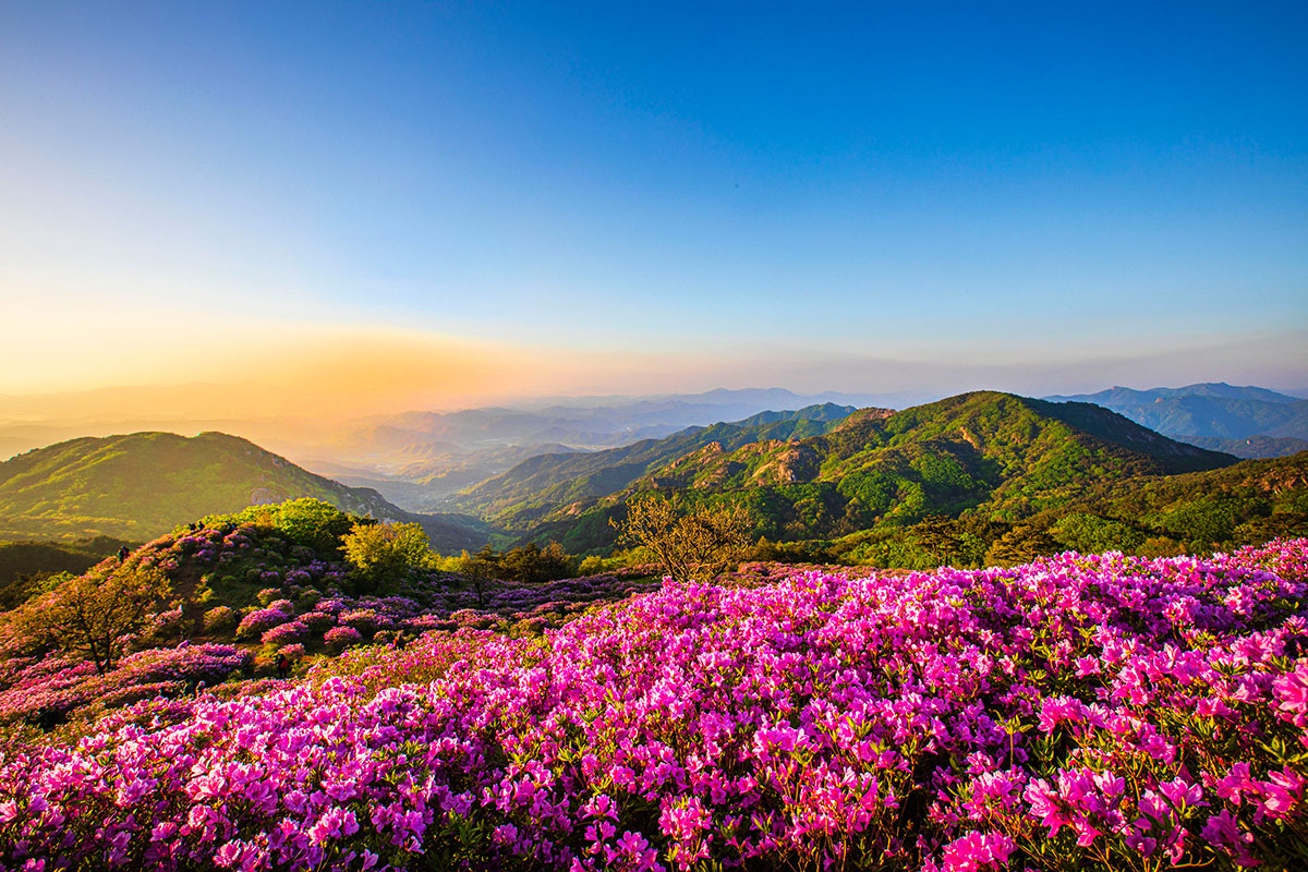 황매산 군립공원