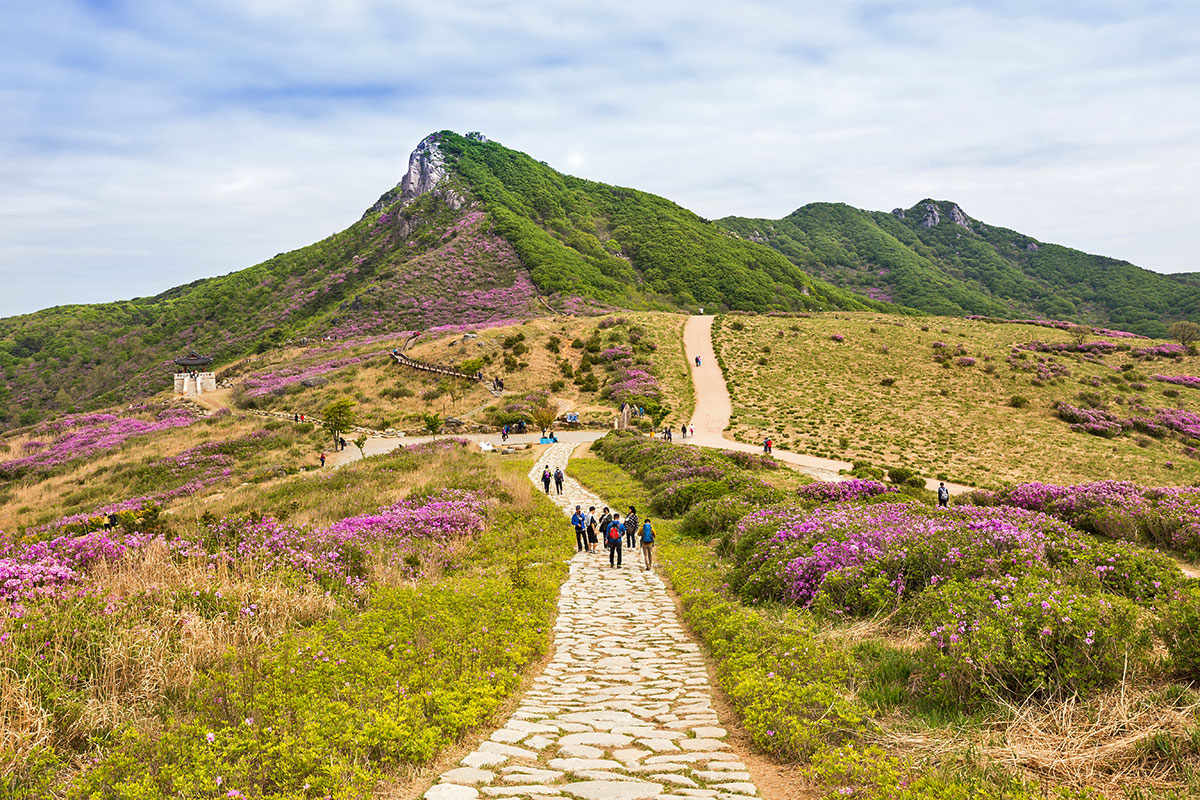 황매산 등산로