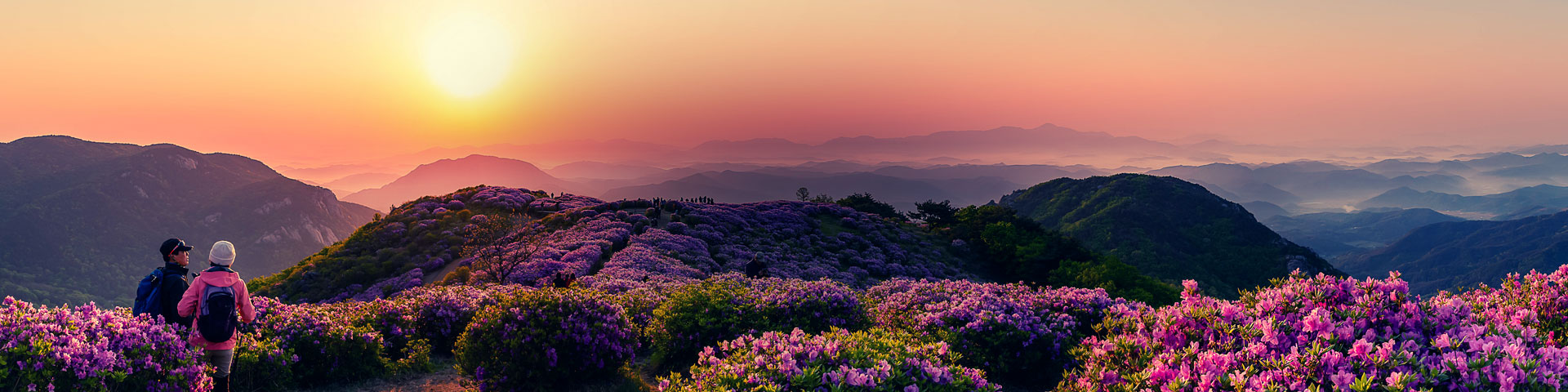 황매산군립공원 전경