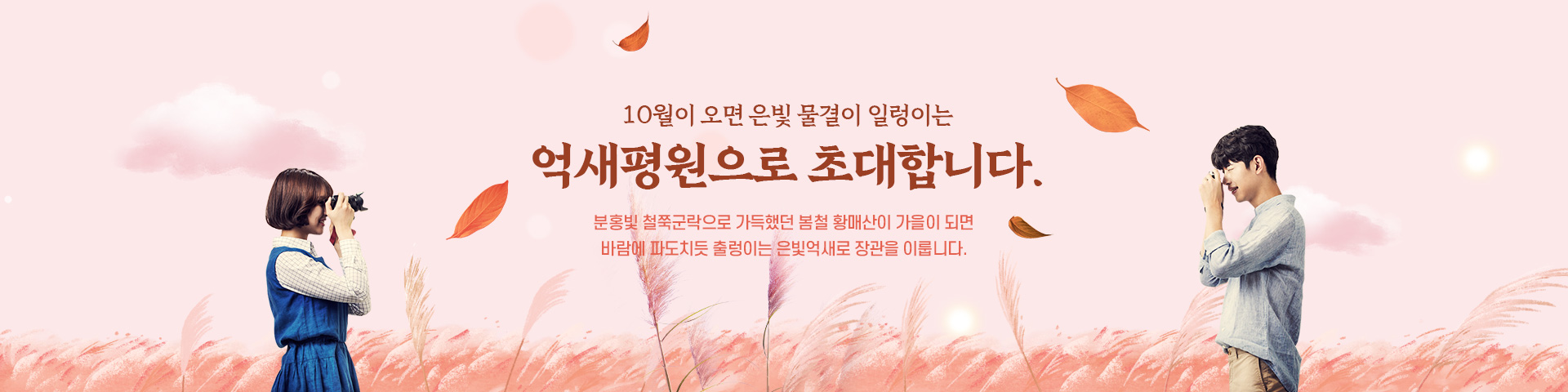 10월이 오면 은빛 물결이 일렁이는 억새평원으로 초대합니다. 분홍빛 철쭉군락으로 가득했던 봄철 황매산이 가을이 되면 바람에 파도치듯 출렁이는 은빛억새로 장관을 이룹니다.