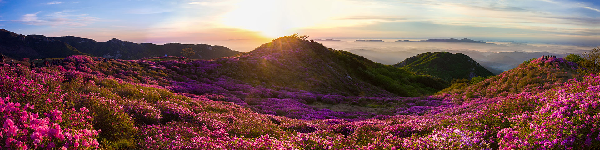 황매산군립공원