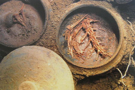 지산동출토 생선뼈