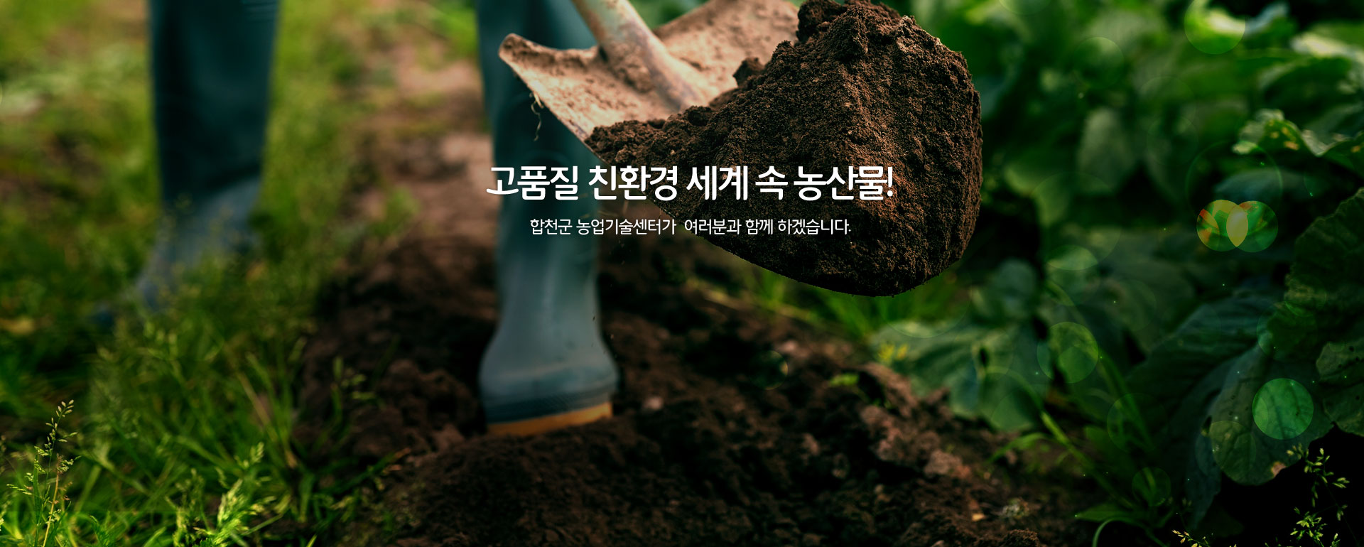 고품질 친환경 세계 속 농산물! 합천군 농업기술센터가  여러분과 함께 하겠습니다.