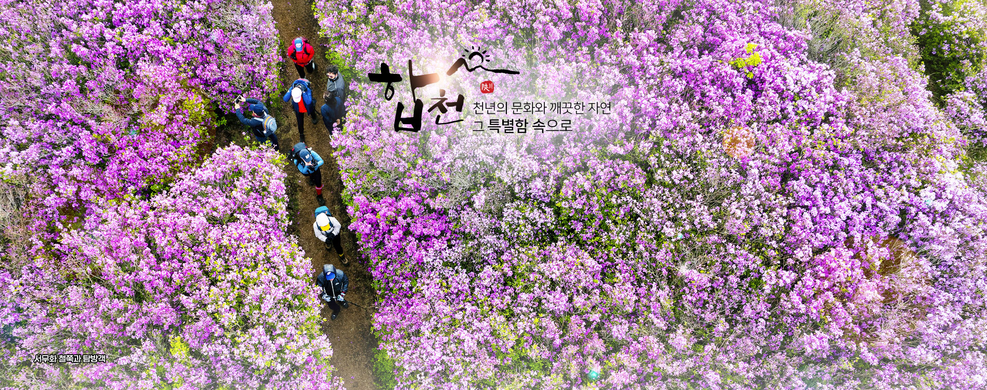 합천 천년의 문화와 깨끗한 자연 그 특별함 속으로, 서무화 철쭉과 탐방객