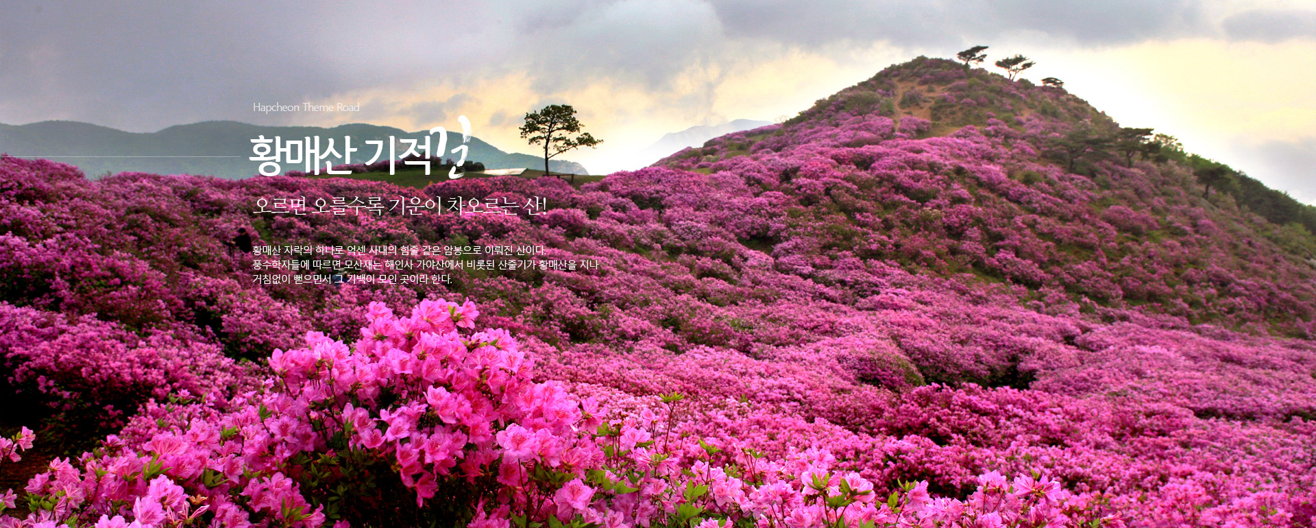 Hapcheon Theme Road 04. 황매산 기적길. 오르면 오를수록 기운이 차오르는 산! 황매산 자락의 하나로 억센 사내의 힘줄 같은 암봉으로 이뤄진 산이다. 풍수학자들에 따르면 모산재는 해인사 가야산에서 비롯된 산줄기가 황매산을 지나 거침없이 뻗으면서 그 기백이 모인 곳이라 한다.