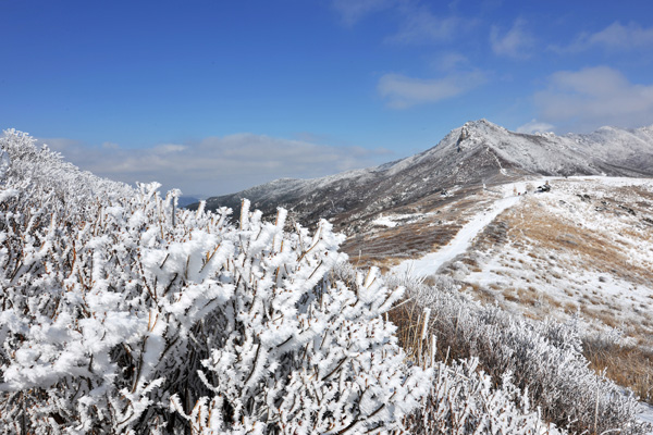 황매산 겨울