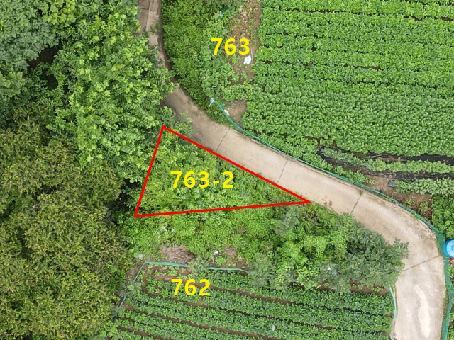 관련정보 이미지