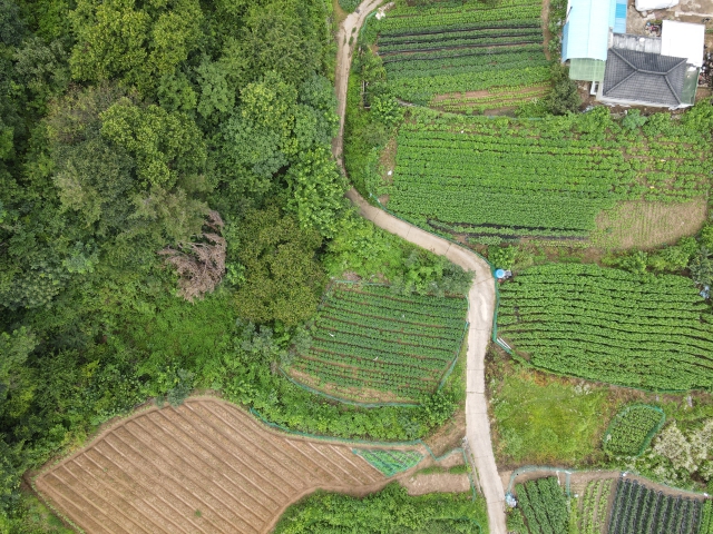 관련정보 이미지