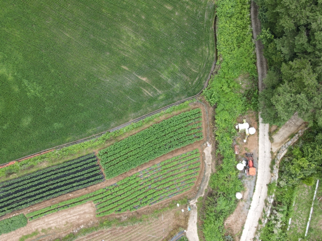 관련정보 이미지