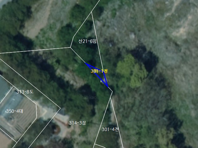 관련정보 이미지