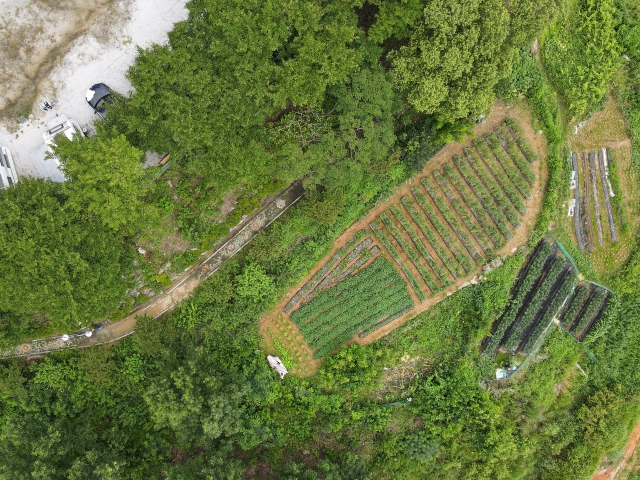 관련정보 이미지