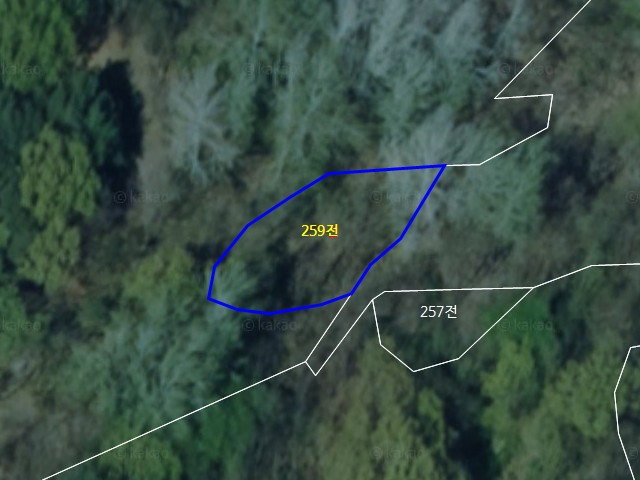 관련정보 이미지
