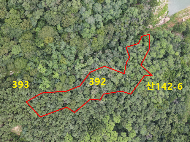 관련정보 이미지