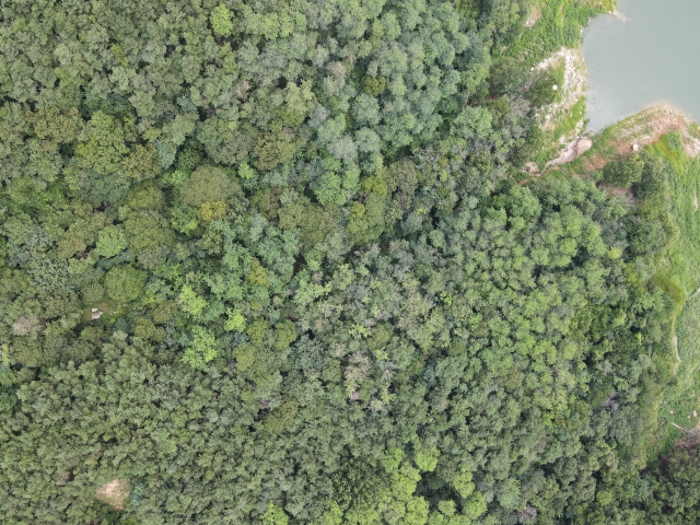 관련정보 이미지