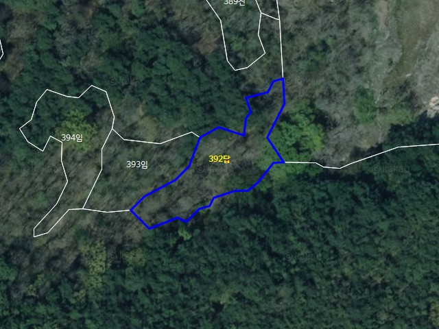 관련정보 이미지