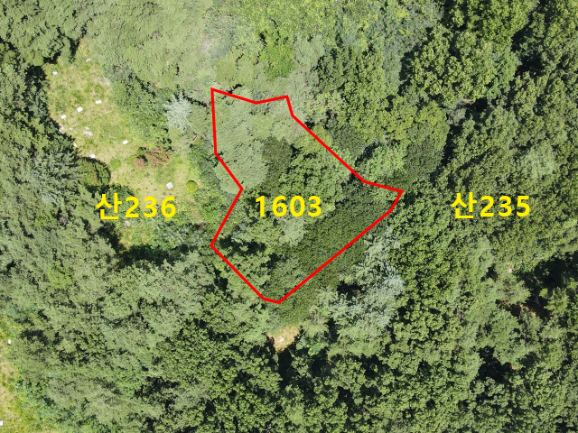 관련정보 이미지